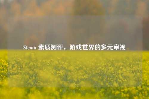 Steam 素质测评,游戏世界的多元审视