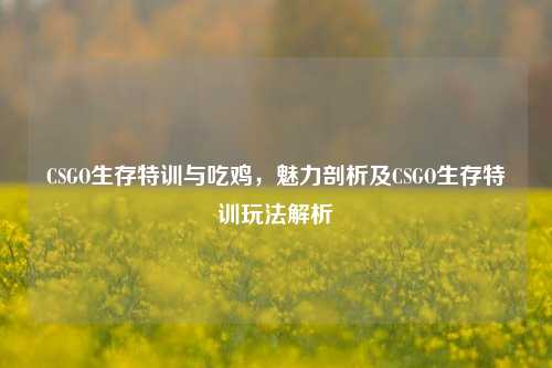 CSGO生存特训与吃鸡,魅力剖析及CSGO生存特训玩法解析