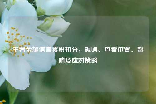 王者荣耀信誉累积扣分，规则、查看位置、影响及应对策略