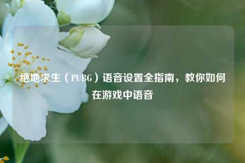 绝地求生(PUBG)语音设置全指南,教你如何在游戏中语音