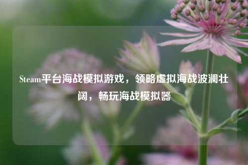 Steam平台海战模拟游戏,领略虚拟海战波澜壮阔,畅玩海战模拟器