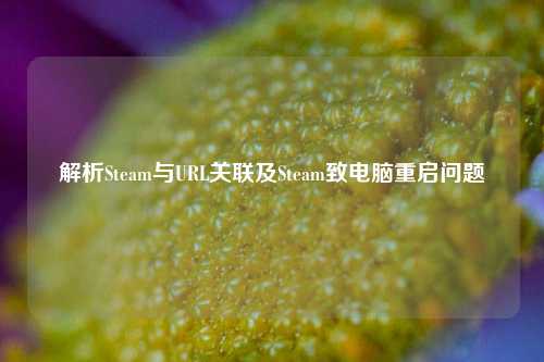 解析Steam与URL关联及Steam致电脑重启问题