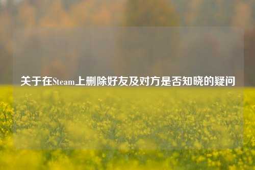 关于在Steam上删除好友及对方是否知晓的疑问