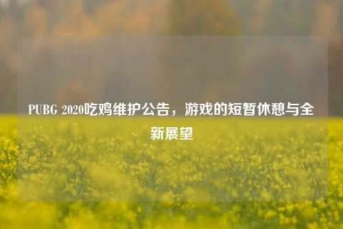 PUBG 2020吃鸡维护公告,游戏的短暂休憩与全新展望