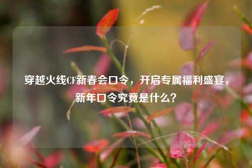 穿越火线CF新春会口令,开启专属福利盛宴,新年口令究竟是什么?