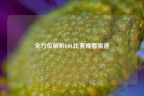 全方位解析LOL比赛观看渠道