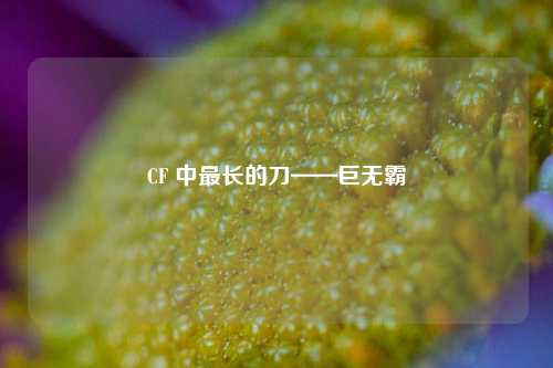 CF 中最长的刀——巨无霸