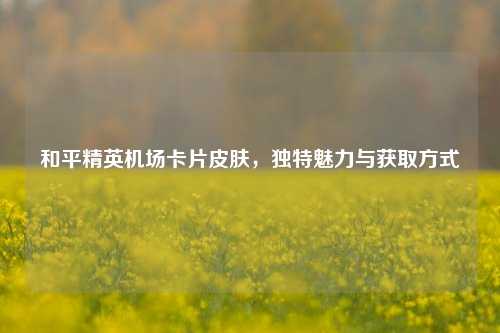 和平精英机场卡片皮肤，独特魅力与获取方式