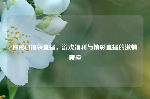 探秘lol福袋直播,游戏福利与精彩直播的激情碰撞