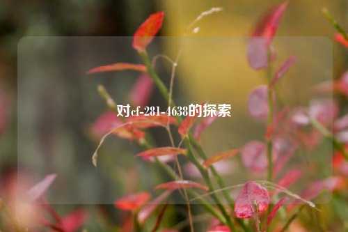 对cf-281-4638的探索