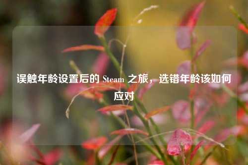 误触年龄设置后的 Steam 之旅，选错年龄该如何应对