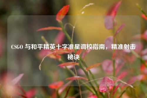CSGO 与和平精英十字准星调校指南，精准射击秘诀