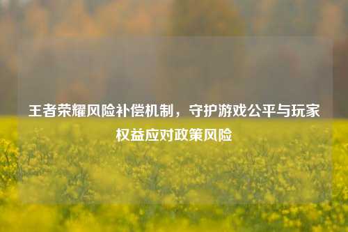 王者荣耀风险补偿机制,守护游戏公平与玩家权益应对政策风险