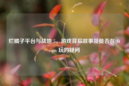烂橘子平台与战地 5,游戏背后故事及能否在 Steam 玩的疑问