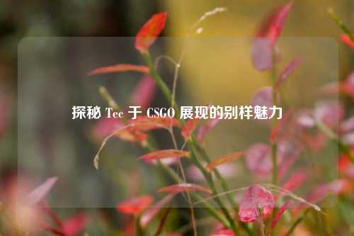 探秘 Tec 于 CSGO 展现的别样魅力