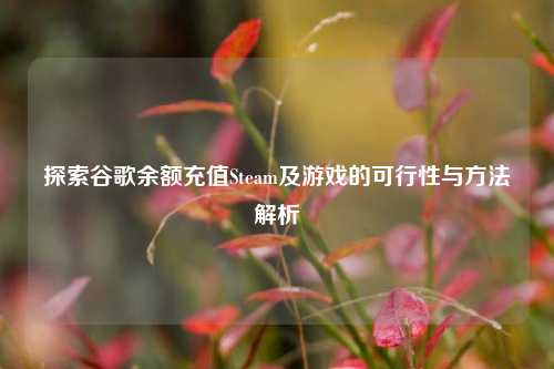探索谷歌余额充值Steam及游戏的可行性与方法解析