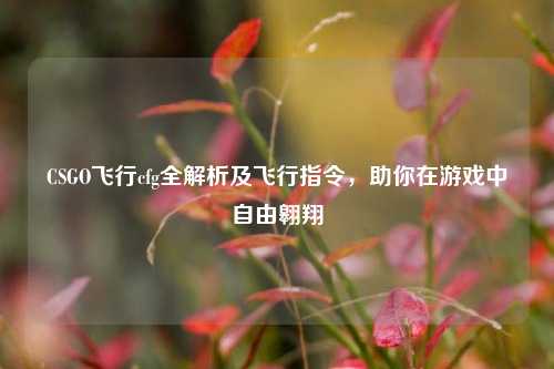 CSGO飞行cfg全解析及飞行指令，助你在游戏中自由翱翔