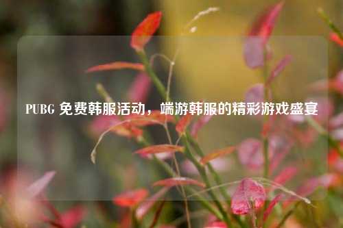 PUBG 免费韩服活动，端游韩服的精彩游戏盛宴