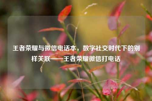 王者荣耀与微信电话本，数字社交时代下的别样关联——王者荣耀微信打电话