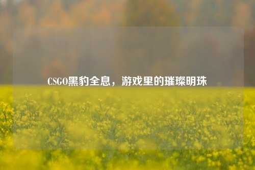CSGO黑豹全息，游戏里的璀璨明珠