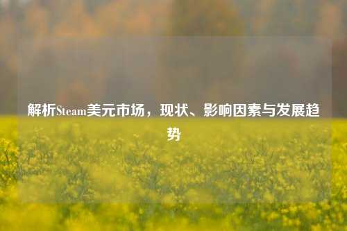 解析Steam美元市场,现状、影响因素与发展趋势