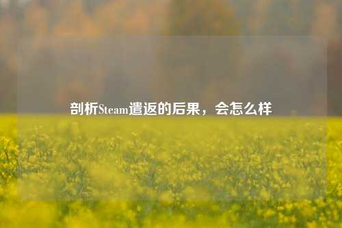 剖析Steam遣返的后果,会怎么样