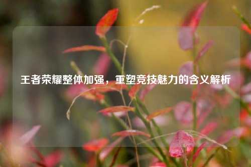王者荣耀整体加强，重塑竞技魅力的含义解析