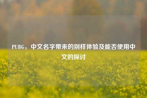 PUBG,中文名字带来的别样体验及能否使用中文的探讨