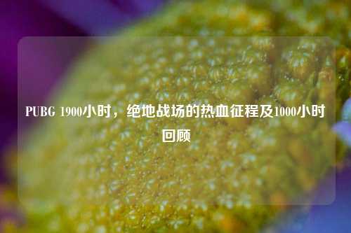 PUBG 1900小时,绝地战场的热血征程及1000小时回顾