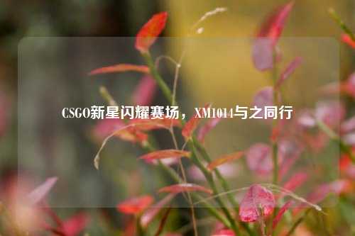 CSGO新星闪耀赛场，XM1014与之同行
