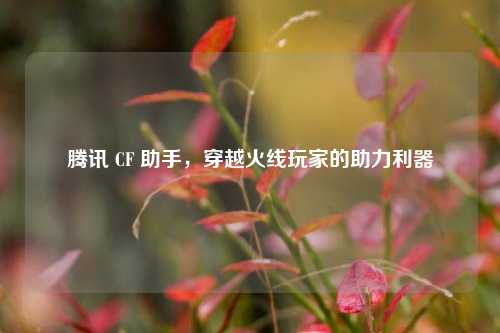 腾讯 CF 助手,穿越火线玩家的助力利器