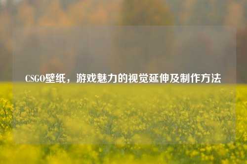 CSGO壁纸,游戏魅力的视觉延伸及制作方法