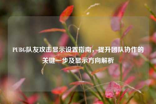 PUBG队友攻击显示设置指南,提升团队协作的关键一步及显示方向解析