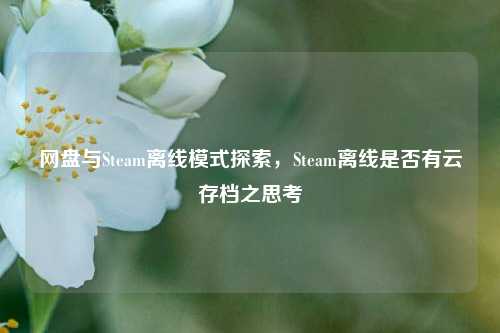 网盘与Steam离线模式探索,Steam离线是否有云存档之思考