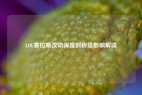 LOL赛拉斯改动深度剖析及影响解读