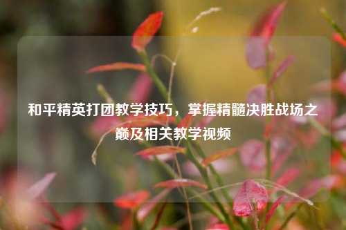 和平精英打团教学技巧,掌握精髓决胜战场之巅及相关教学视频