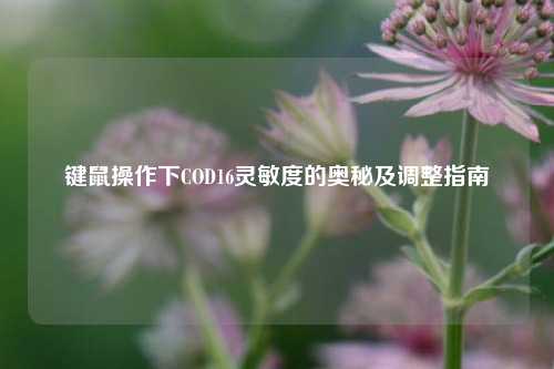 键鼠操作下COD16灵敏度的奥秘及调整指南