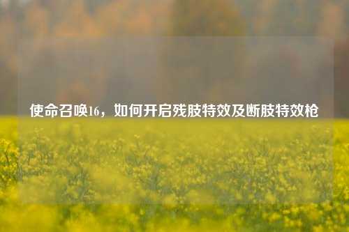 使命召唤16，如何开启残肢特效及断肢特效枪
