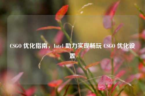 CSGO 优化指南,Intel 助力实现畅玩 CSGO 优化设置