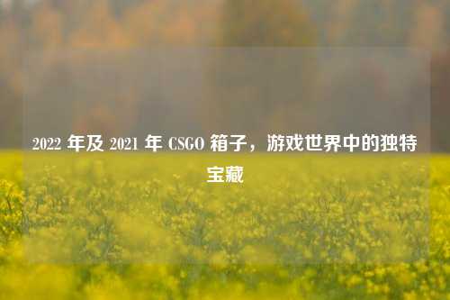 2022 年及 2021 年 CSGO 箱子,游戏世界中的独特宝藏
