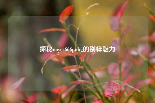 探秘noyes666pubg的别样魅力