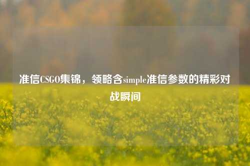 准信CSGO集锦,领略含simple准信参数的精彩对战瞬间