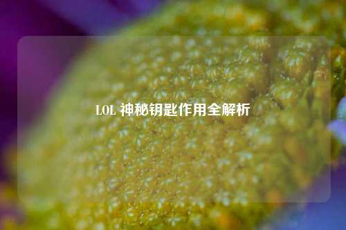 LOL 神秘钥匙作用全解析