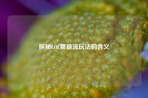 探秘LOL猥琐流玩法的含义