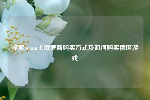 探索Steam上俄罗斯购买方式及如何购买俄区游戏