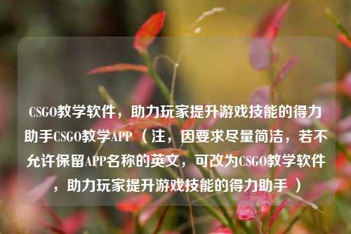 CSGO教学软件，助力玩家提升游戏技能的得力助手CSGO教学APP （注，因要求尽量简洁，若不允许保留APP名称的英文，可改为CSGO教学软件，助力玩家提升游戏技能的得力助手 ）