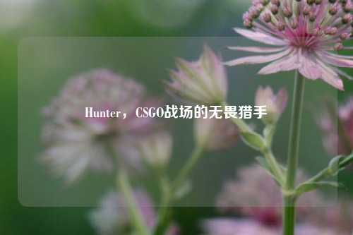 Hunter，CSGO战场的无畏猎手