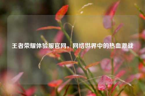 王者荣耀体验服官网,网络世界中的热血激战