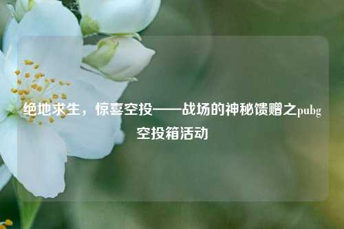 绝地求生,惊喜空投——战场的神秘馈赠之pubg空投箱活动