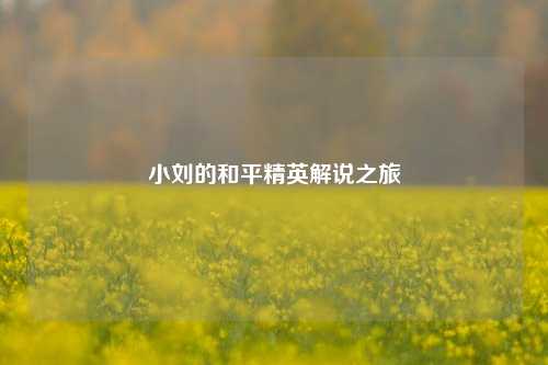 小刘的和平精英解说之旅